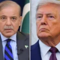Trump stops bombing Iran after conversations with PM Shehbaz Sharif, Field Marshal Asim Munir; Iran, US agree to two-week ceasefire