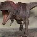 Scientists Finally Think They Know Why T. rex Had Tiny Arms