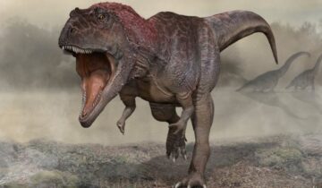 Scientists Finally Think They Know Why T. rex Had Tiny Arms