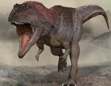 Scientists Finally Think They Know Why T. rex Had Tiny Arms
