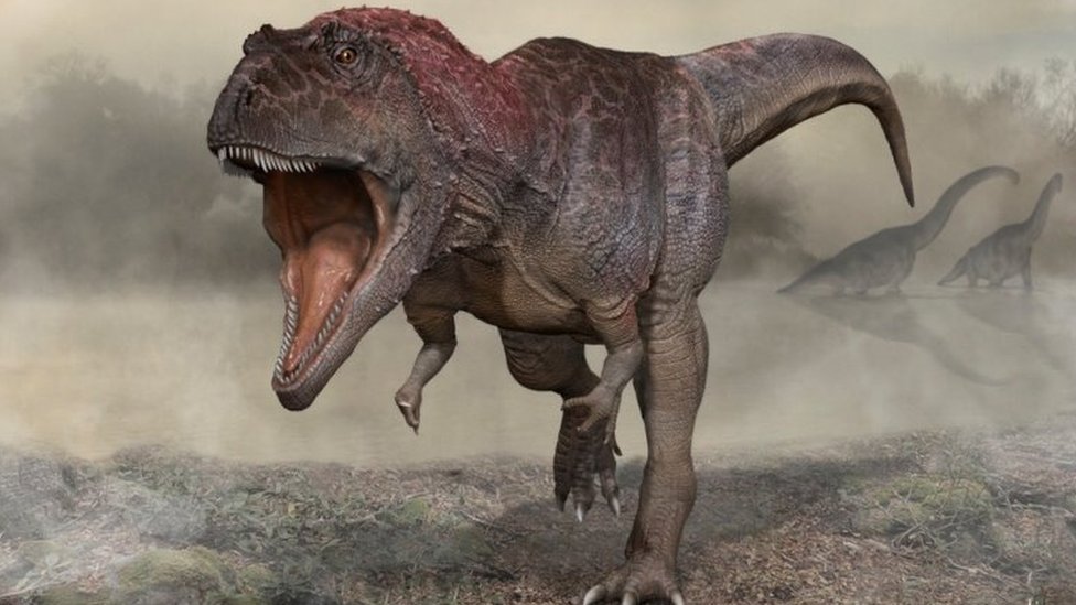 Scientists Finally Think They Know Why T. rex Had Tiny Arms