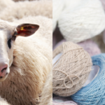 Scientists Turn Wool Into Bone-Healing Material in Medical Breakthrough