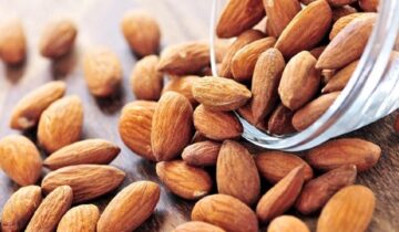 Scientists Reveal That Eating Almonds Every Day Could Transform Your Gut, Metabolism, and Appetite