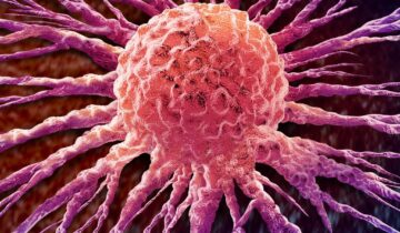 Scientists Turn Cancer’s Own Bacteria Against It in Breakthrough Therapy