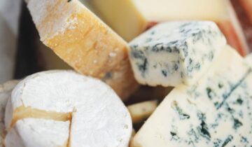 Scientists Discover the Secret Bacteria Behind Artisan Cheeses – and They May Be Good for Your Health