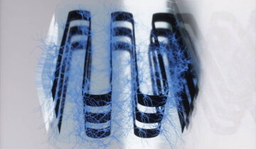 Scientists Build a Living AI Device Using Real Brain Cells
