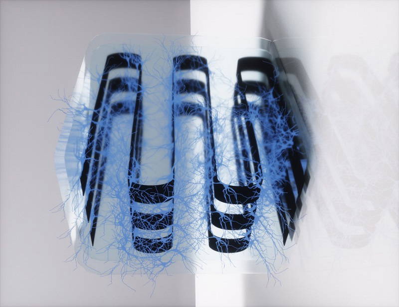 Scientists Build a Living AI Device Using Real Brain Cells