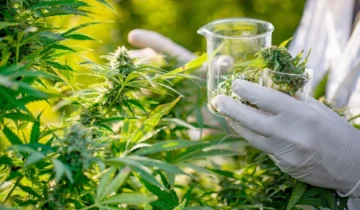 This Common Plant Could Be an Unexpected New Source of Protein