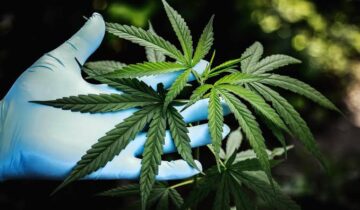 Marijuana Use May Raise Lung Cancer Risk, Researchers Warn