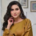 Using workers for views, Fiza Ali faces criticism again