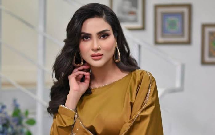Using workers for views, Fiza Ali faces criticism again
