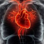 Popular Weight-Loss Drugs Found To Cut Heart Attack and Stroke Risk