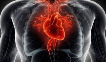 Popular Weight-Loss Drugs Found To Cut Heart Attack and Stroke Risk