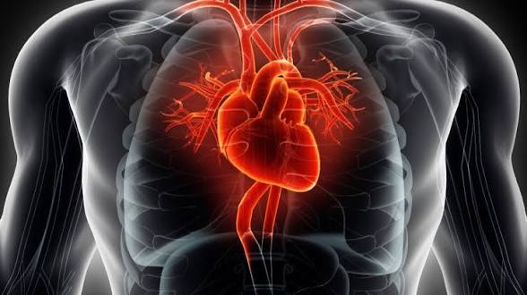 Popular Weight-Loss Drugs Found To Cut Heart Attack and Stroke Risk