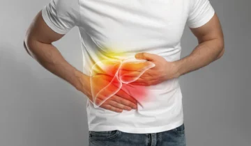 Scientists Discover Why Alcohol Prevents the Liver From Healing, Even After You Quit