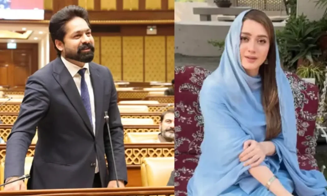 MPA Saqib Chadhar booked in harassment case filed by Momina Iqbal
