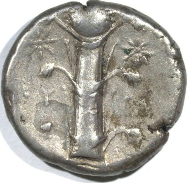 Ancient Romans Were Obsessed With This Remarkable Herb – Then It Vanished Forever