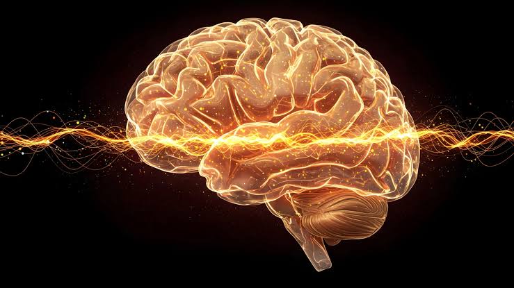 Scientists Uncover the Earliest Brain Changes That May Predict Alzheimer’s Decades Before Symptoms