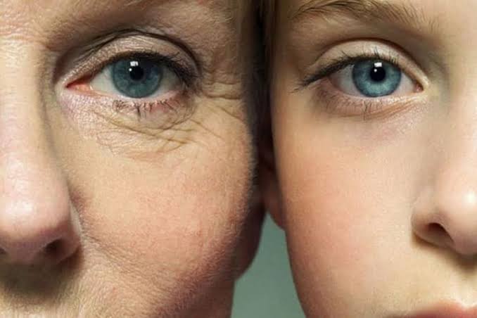Scientists Discover Some “Zombie Cells” May Actually Help You Live Longer